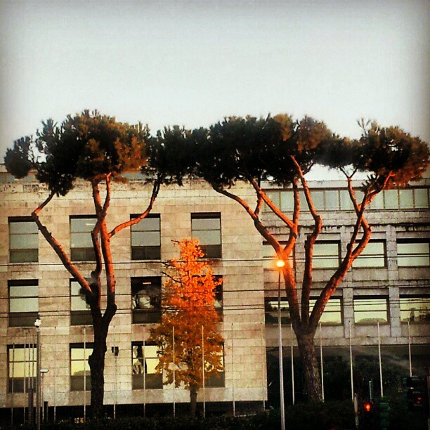 La Fao a Roma: riflessi di speranza o di illusione? (LC)