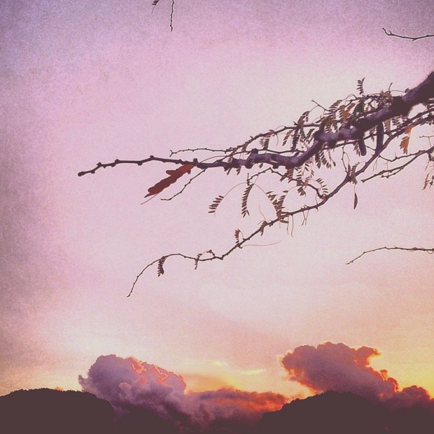 Tramonto a Villa Pamphilj, 2013, LC