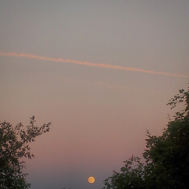 Luna Piena al tramonto, LC 2015